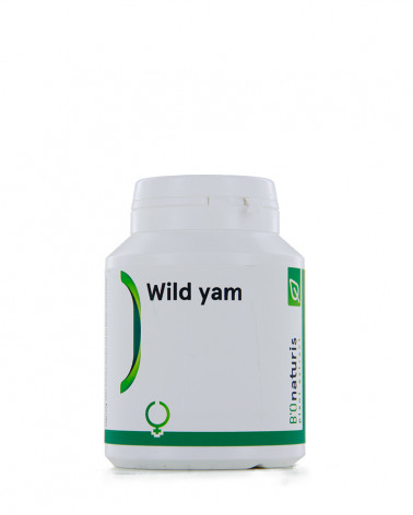 Nateco shop SA-product-Wild Yam-image